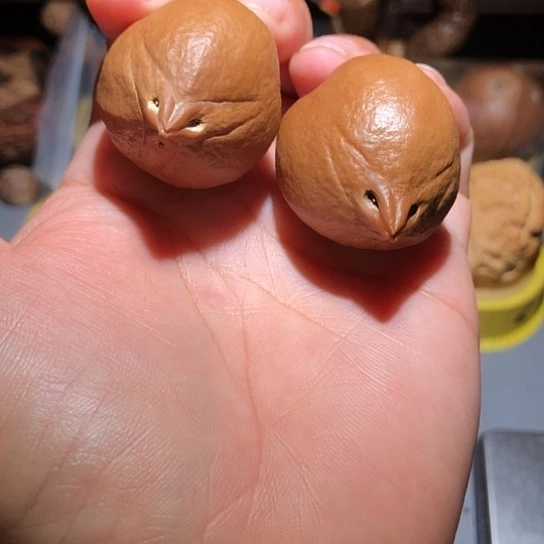 半***雨吊坠橄榄核小鸟橄榄