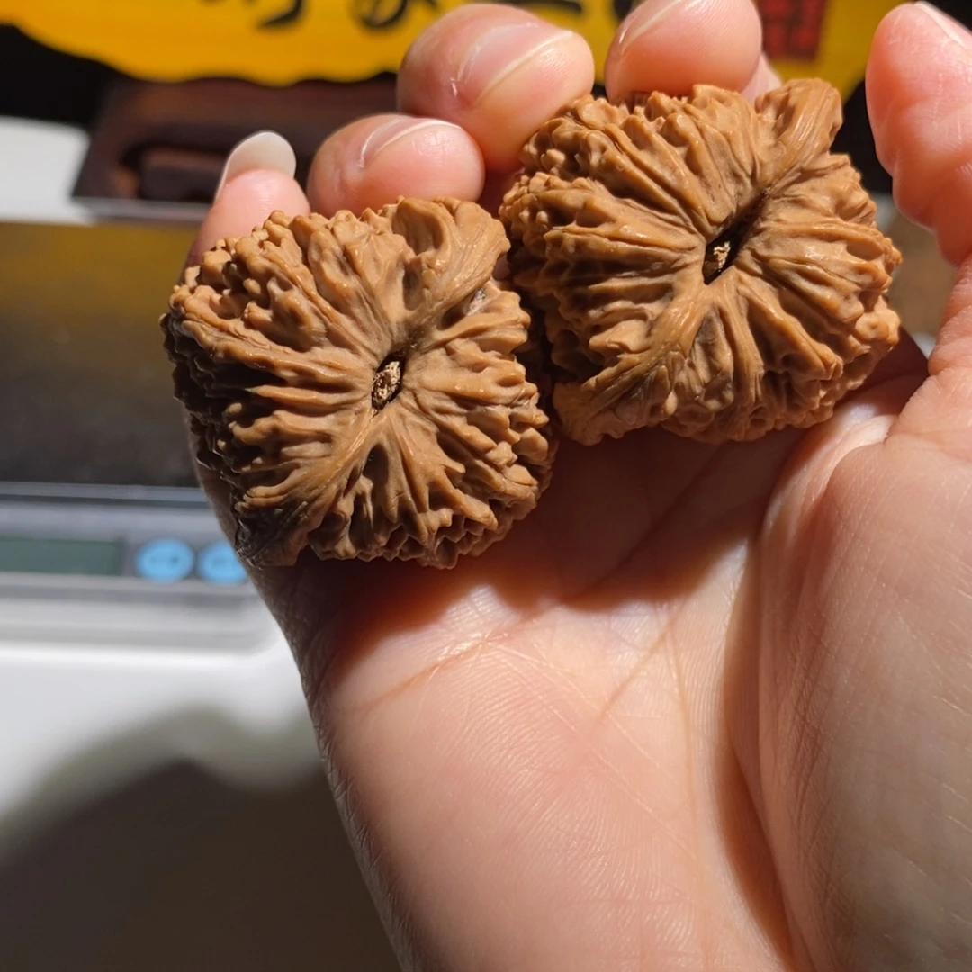 泰***0大叶紫檀（黑酸枝木类）