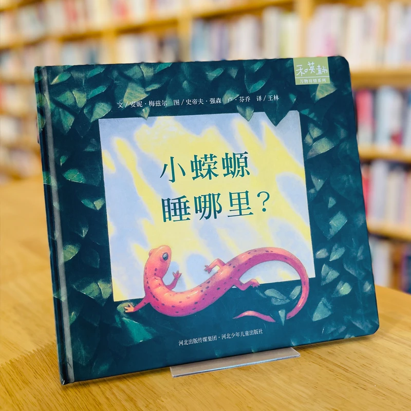 【毛毛虫】小蝾螈睡哪里（精装绘本）