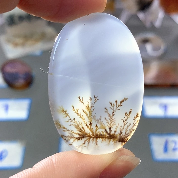 未镶嵌颈饰玛瑙/玉髓