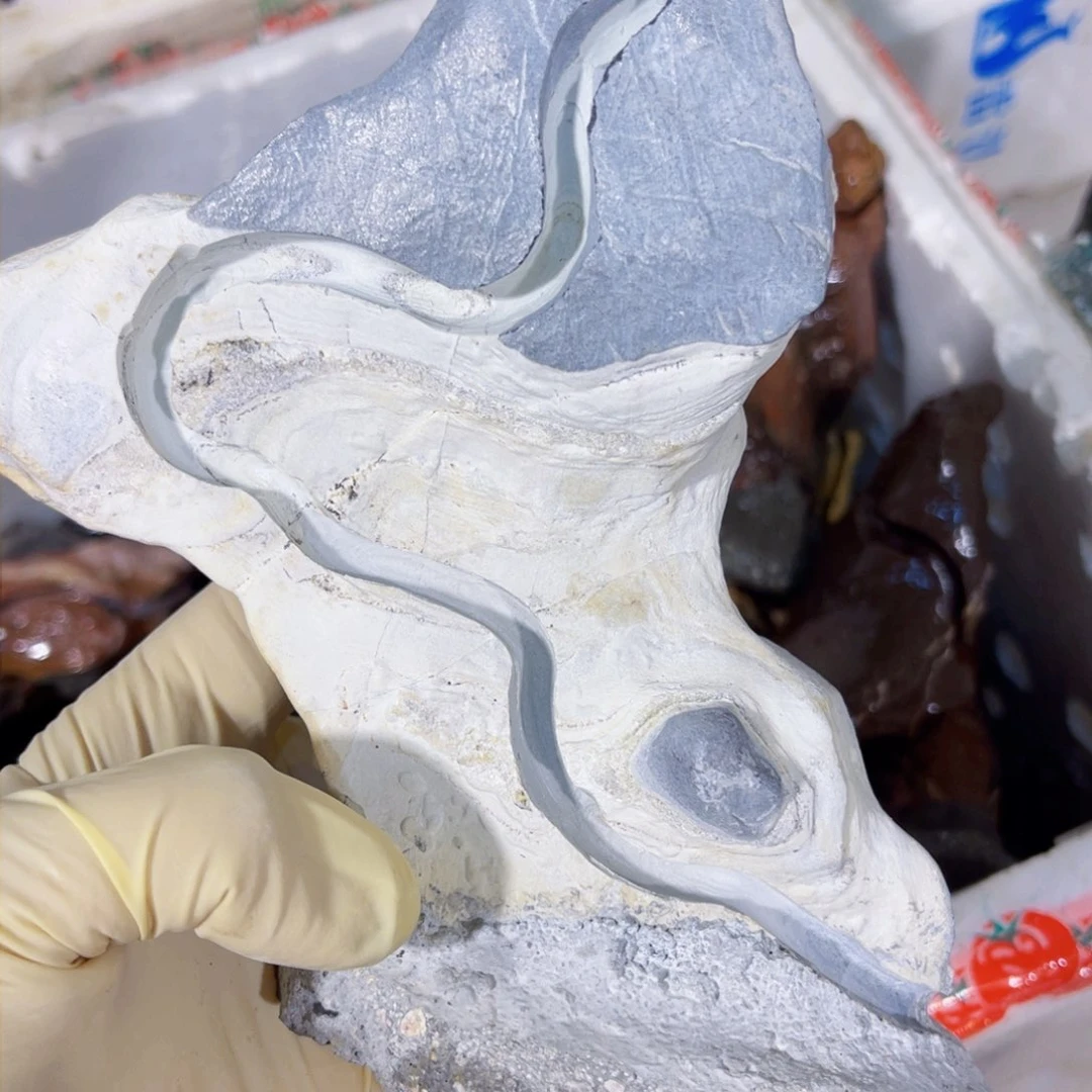 ?****?附石盆景一物一拍