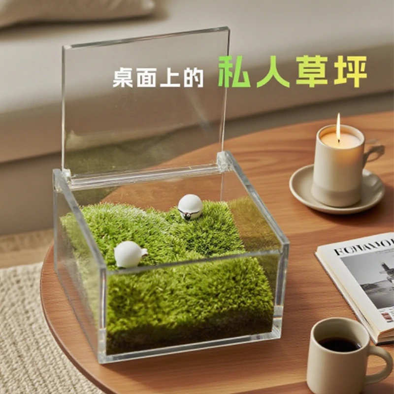自然引力一片草坪苔藓微景观桌生态瓶办公牛马摆件室内桌面植物