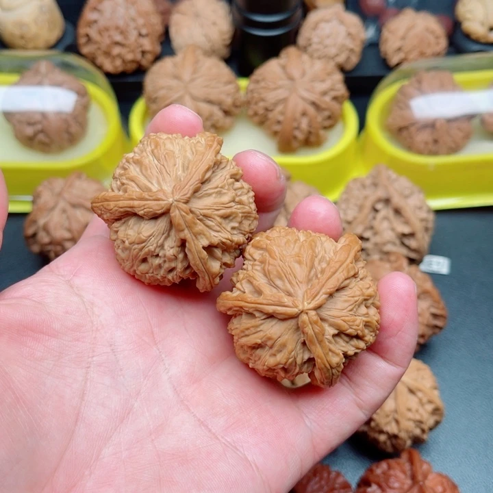 把件文玩核桃白狮子三棱奔43×43×42