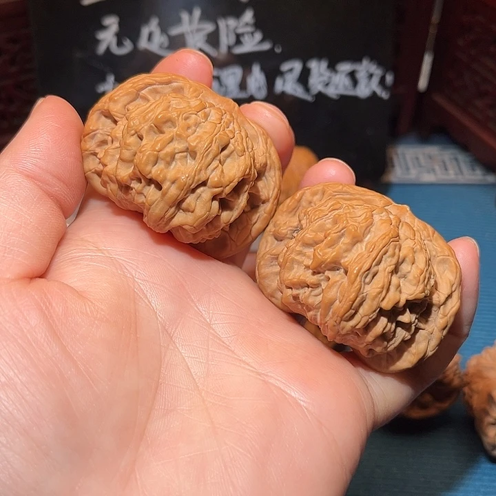 47.5全品狮虎兽，粗筋厚棱……