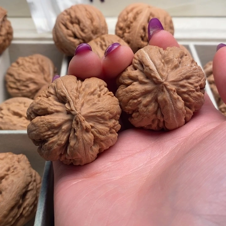 赵***想手串文玩核桃霸王龙全