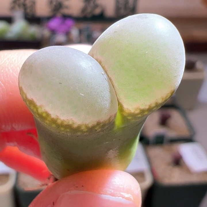 w/754。b23。4年。