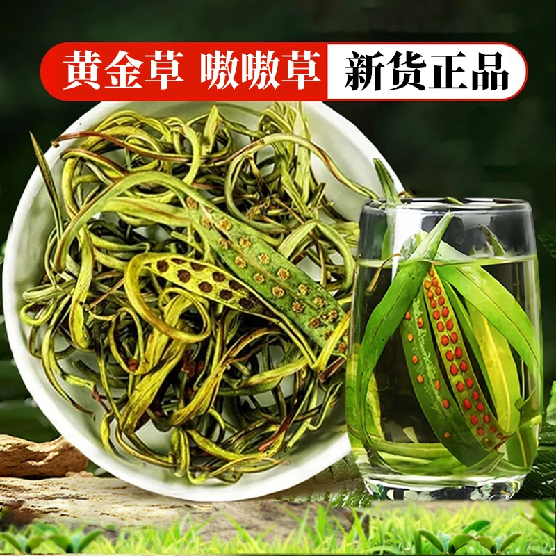 【嗷嗷草】正品新货黄金草茶嗷嗷草茶50g瓶装煮水泡水可搭配枸杞