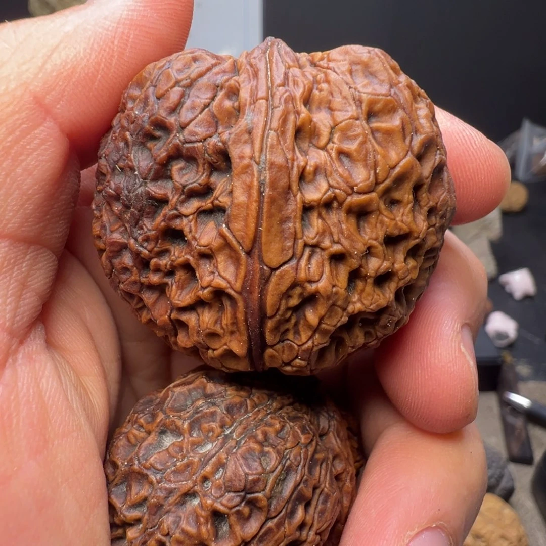 吊坠文玩核桃英武冠41mm