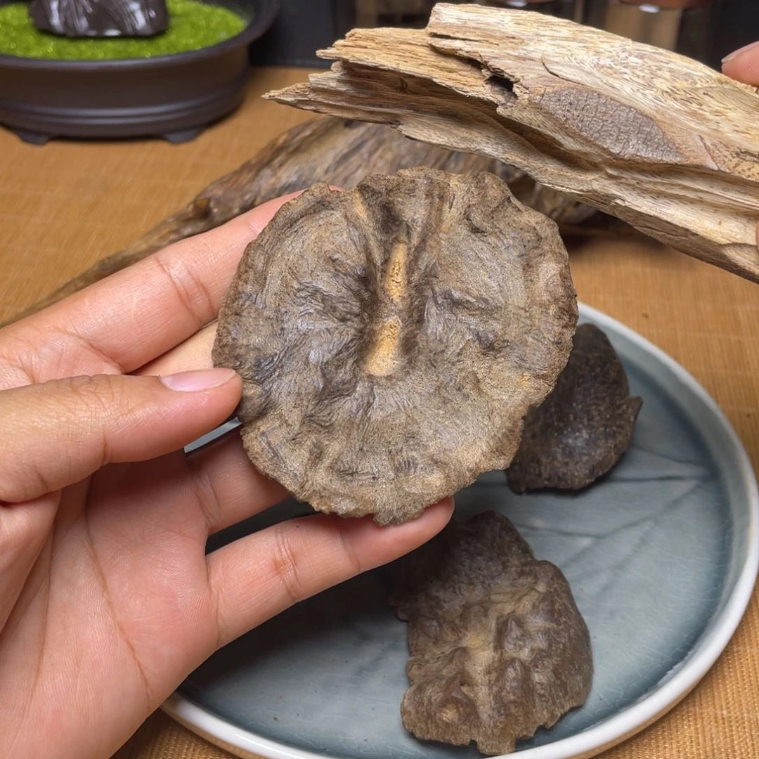 香榧木V****徳海南竹木根雕木料14克