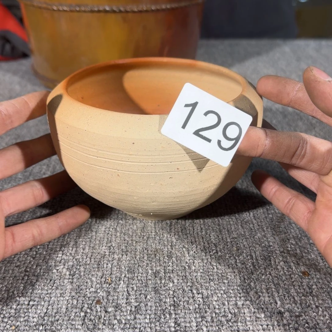 茸**那3161518181881155151