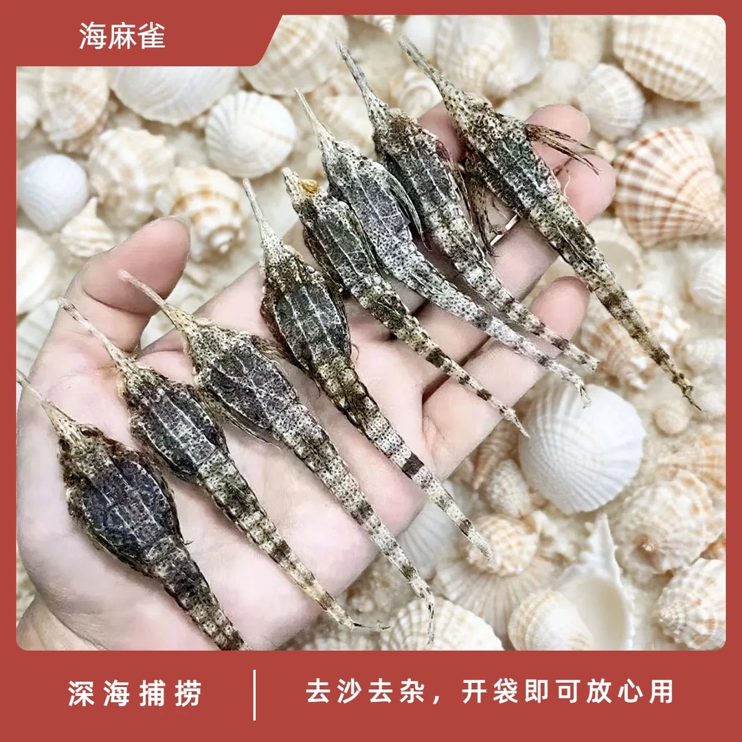 纯正 海麻雀 海燕子 海燕干货适合 海味干货8只10XZ