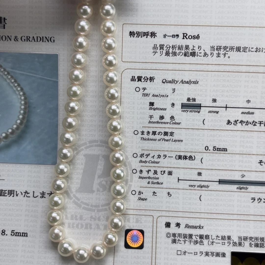 颈饰未镶嵌海水珍珠真科研rose正圆极强光孤品特价