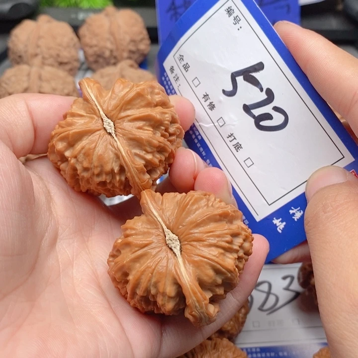 把件桃核42白狮子520号牌