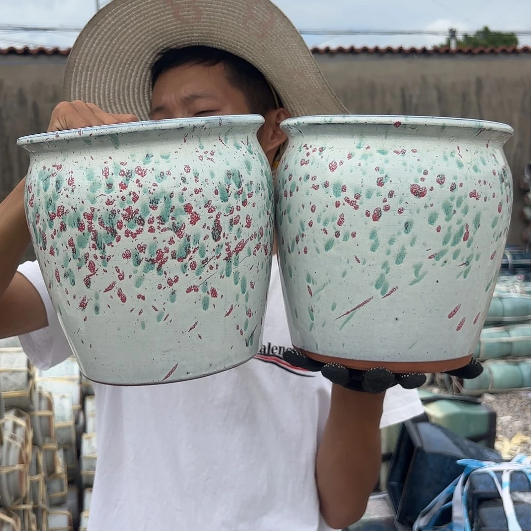 白彩两个口径20高度21