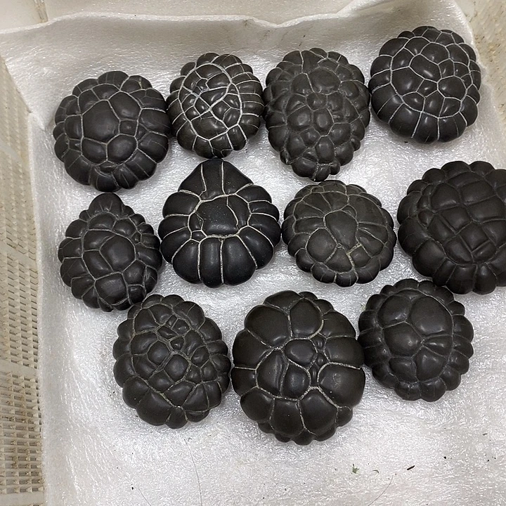 与***缘去付吧哥谢谢谢谢
