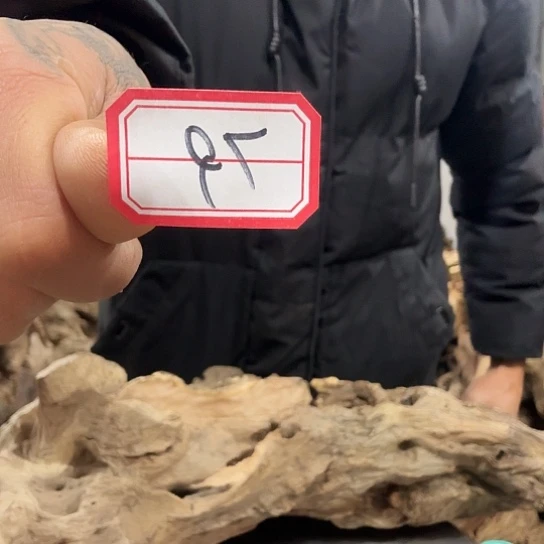 小*紫砂噜啦啦啦啦啦啦