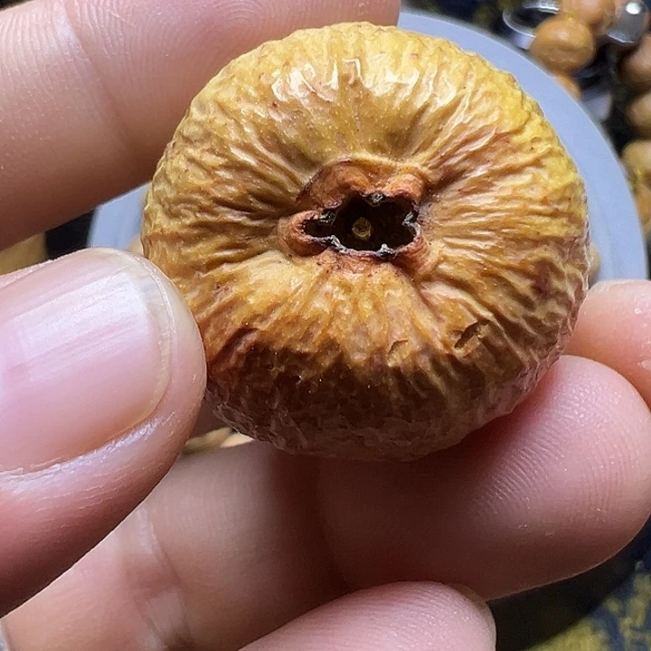 手串凤眼菩提干果落地果60个