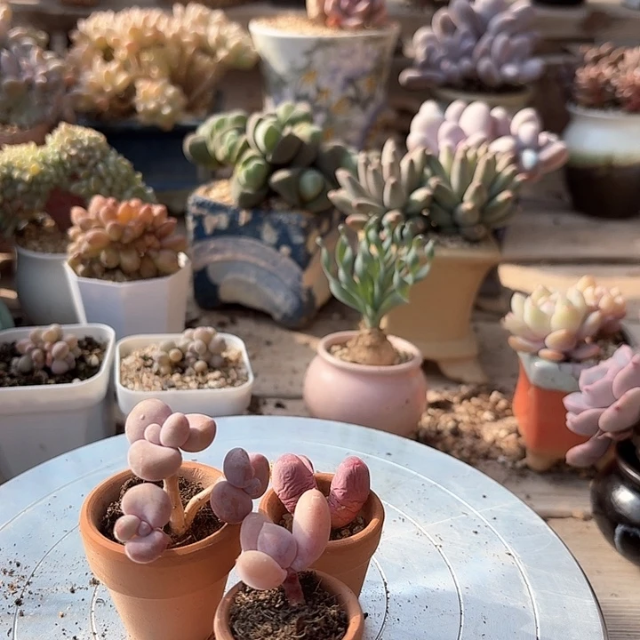 雨**呀vh g f hj uh hh 387