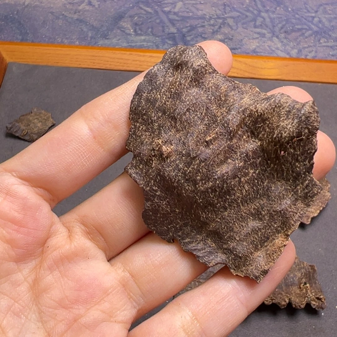 沉香碎屑沉香海南尖峰岭沉水老包头4.9克