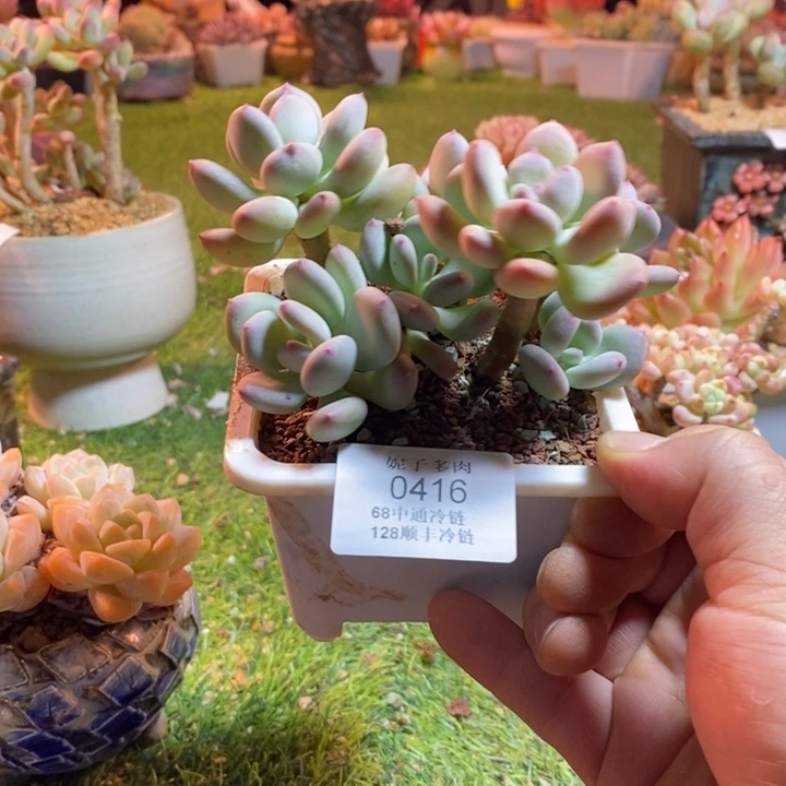 0416啊啊啊啊啊啊啊啊啊