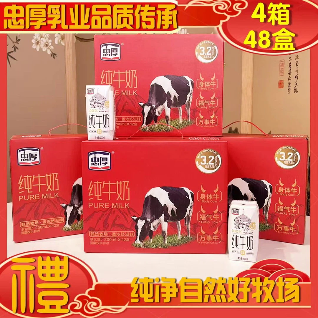 【新鲜日期】节日红色礼盒忠厚纯牛奶200ml*12盒*4箱儿童学生牛奶