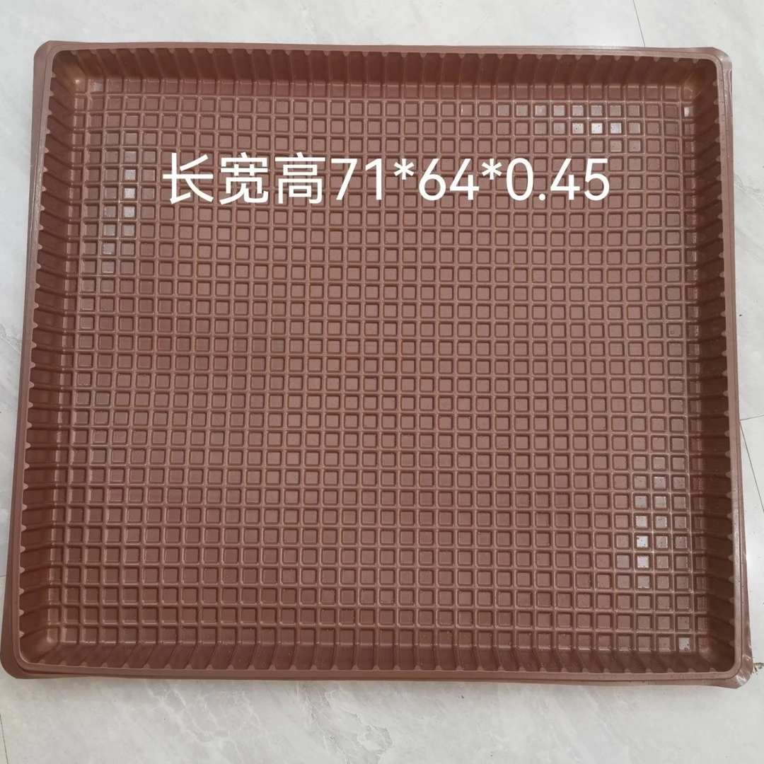农用烟草育苗池加厚两盘装烟苗水池高效简约耐用