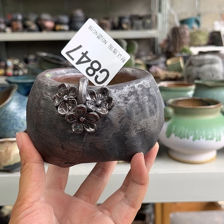 重庆小燕子欢迎大家847