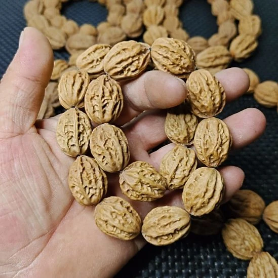 野***狼木质类纯野生山核桃