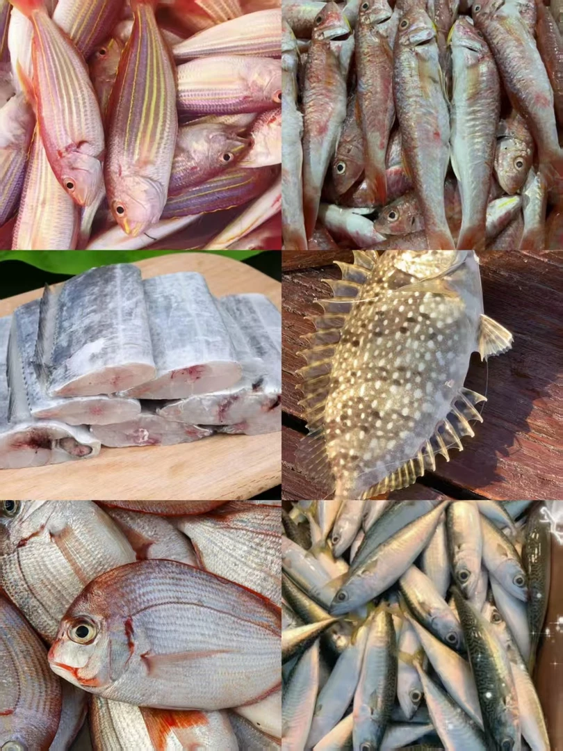 A豪华海鲜套餐码头直发顺丰包邮A