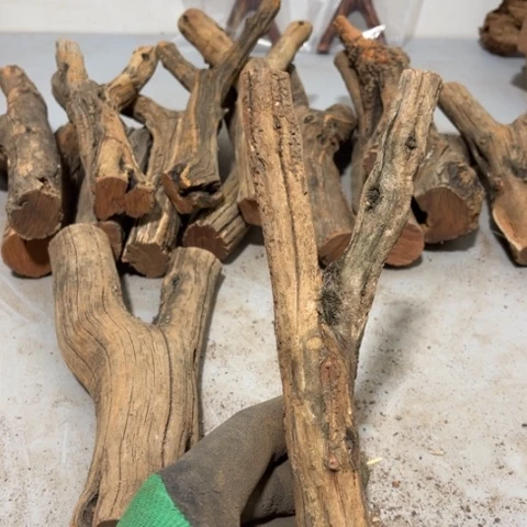 大果紫檀（缅甸花梨）东***犬