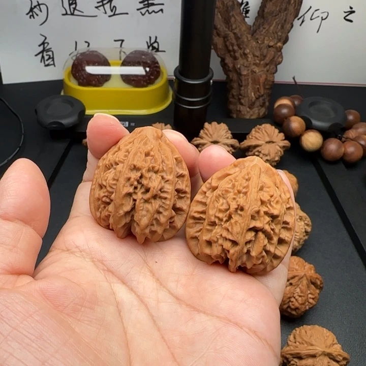 36全品八龙筋核桃