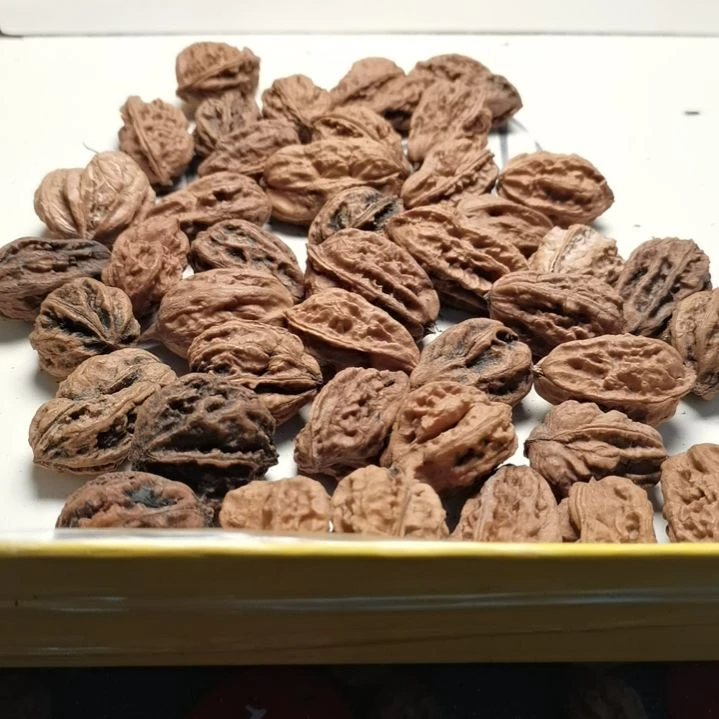 文玩核桃手串贪***子东北秋子异型籽30