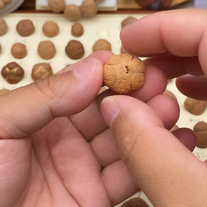 X***X凤眼菩提吊坠六星