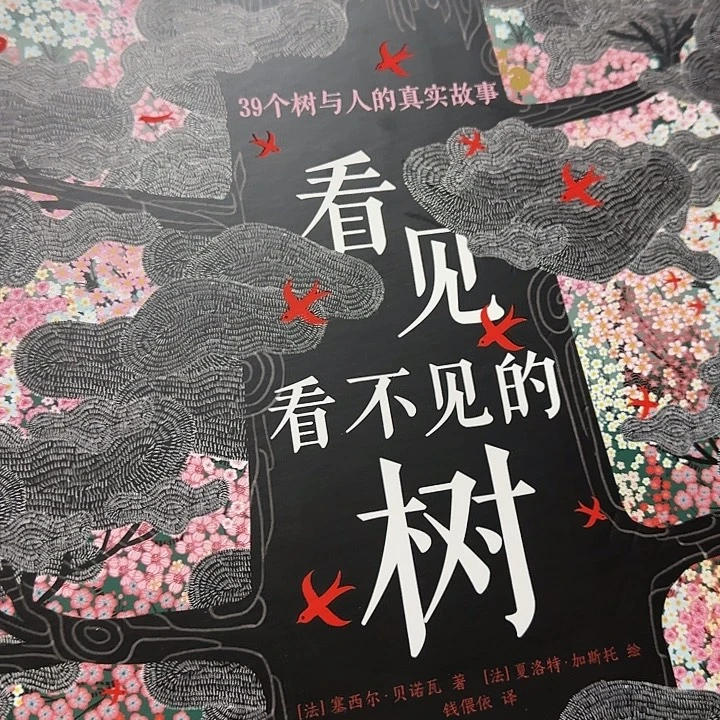 微瑕看见看不见的树