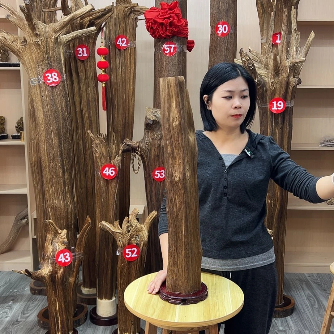 沉香沉香碎屑沉香