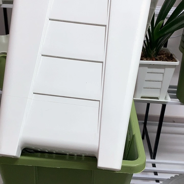 26白方无托微瑕4个