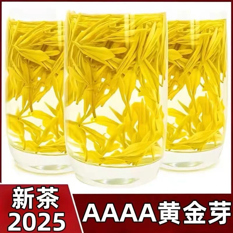 『青仓专款』2025年  明前高山龙皇黄金芽 H388款   250g/500g