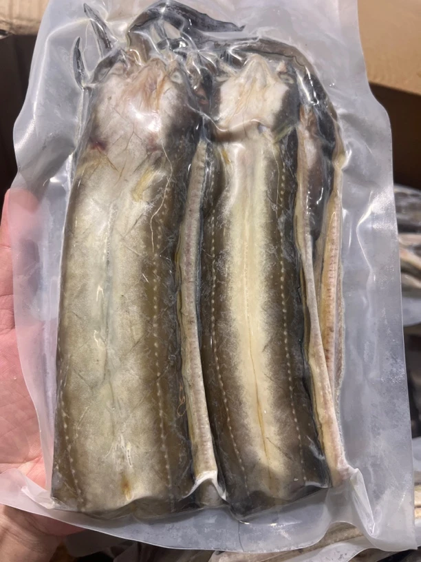 淡晒油鳗鱼干沙鳗鲞渔民自晒6 - 7成干鳗鱼鲞