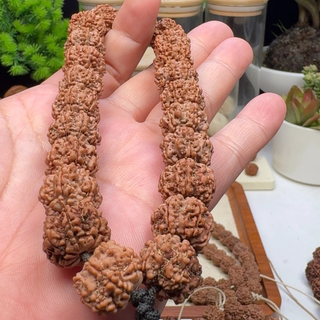 玖***天金刚菩提手串手持