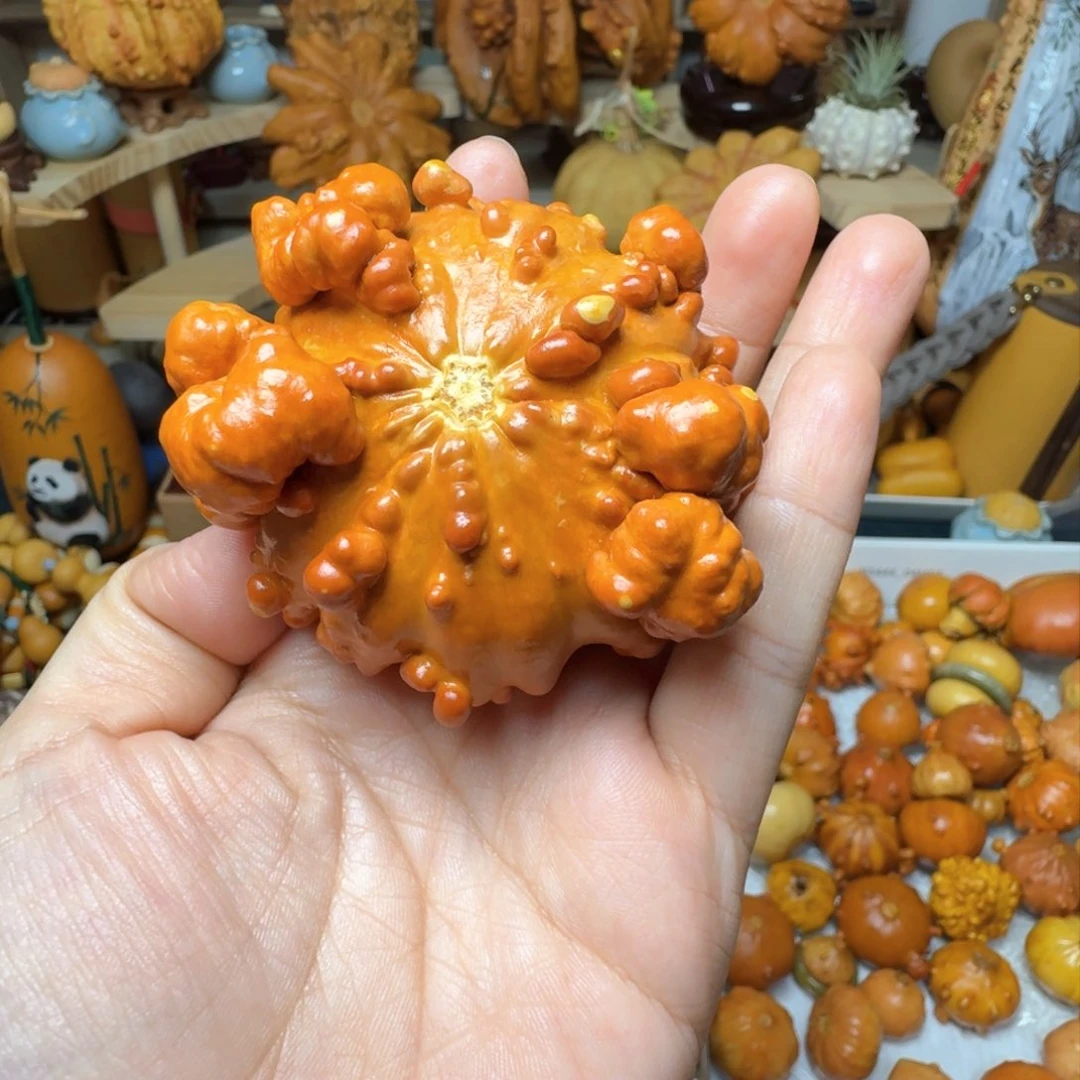꧁****꧂特价葫芦不退不换
