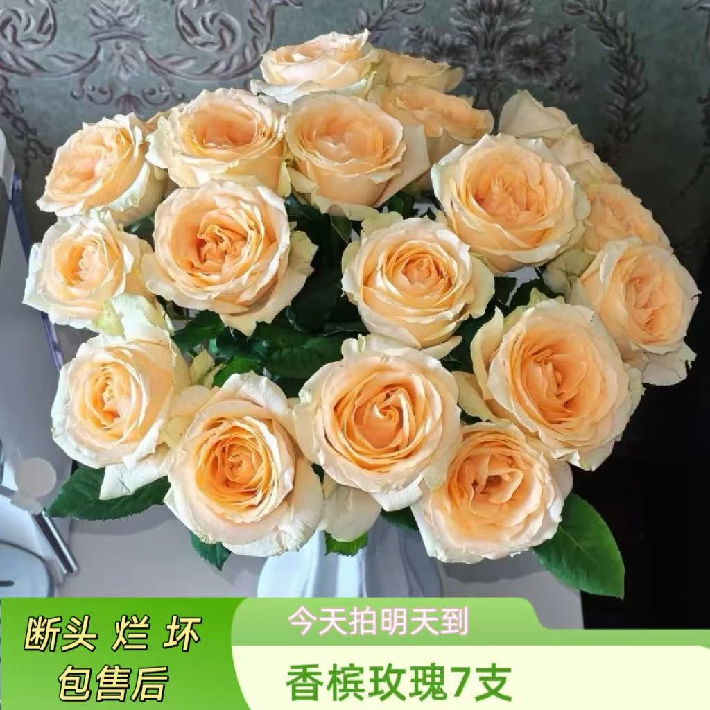元旦特价蕓影精选【香槟玫瑰】云南鲜花批发次日达