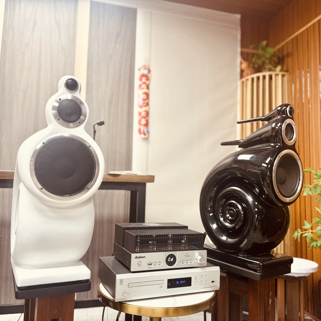 Aulyra【 大鹦鹉+MK3+蝶机】音响组合8寸三分频音箱 前胆后石功放机