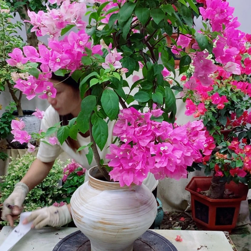 【闪购商品】完全开放小*妹