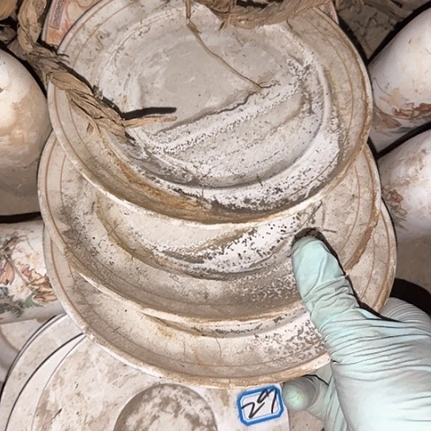 瓷片4个19厘米25号