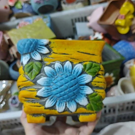 当场拍满15元包邮发货，金额不够发泡沫不发花盆，不凑单真亏钱请别