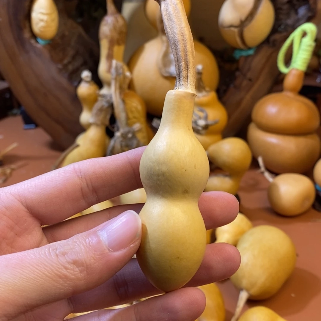 C****教练咯路途兔兔咯
