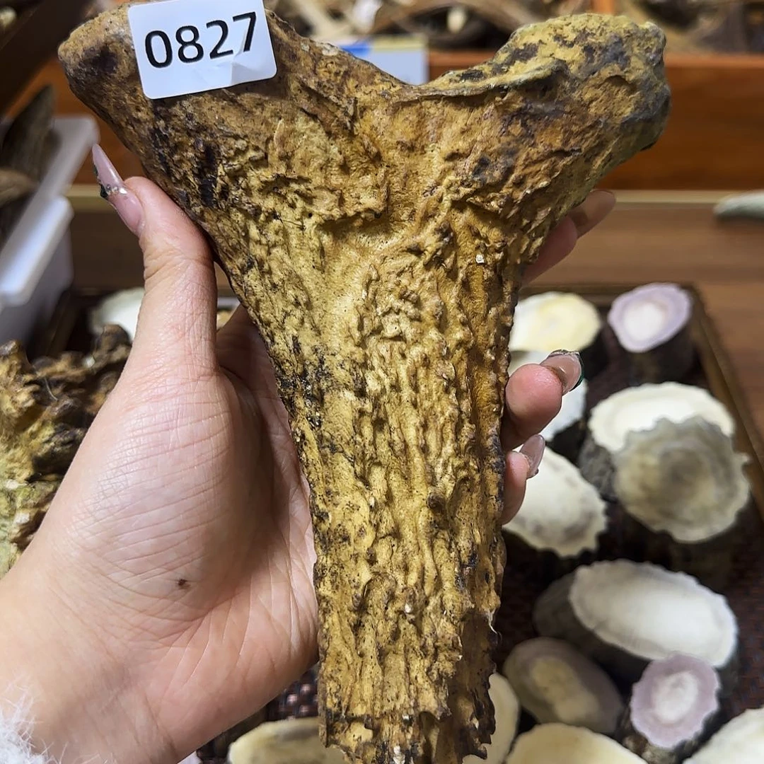 手串/手链鹿骨0827怪角