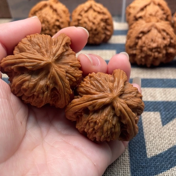 F***t核桃白狮子41核桃