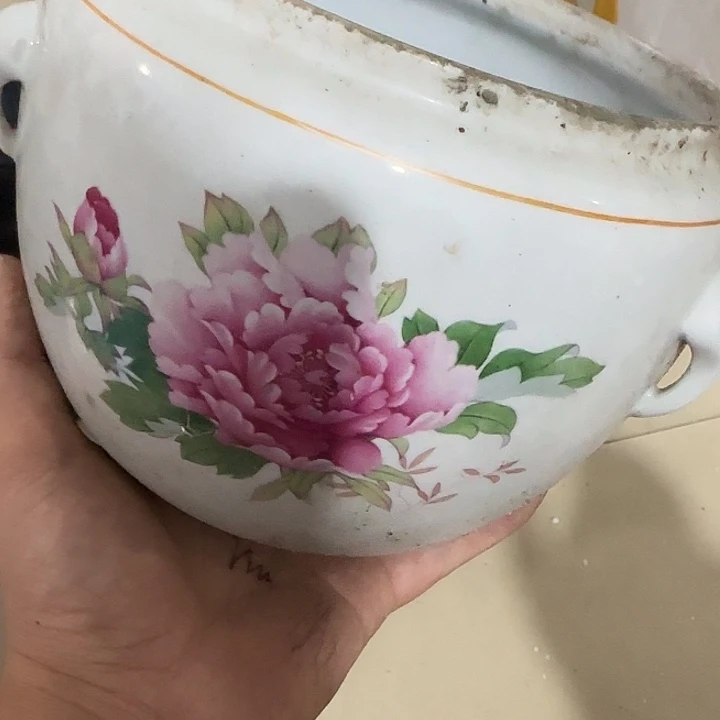 红***虎扇子干活v和宝贝哈哈好宝贝