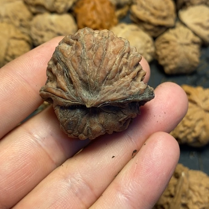 文玩核桃吊坠擎***兔文玩核桃异形单只